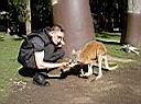 KP - me and kangaroos 3.JPG